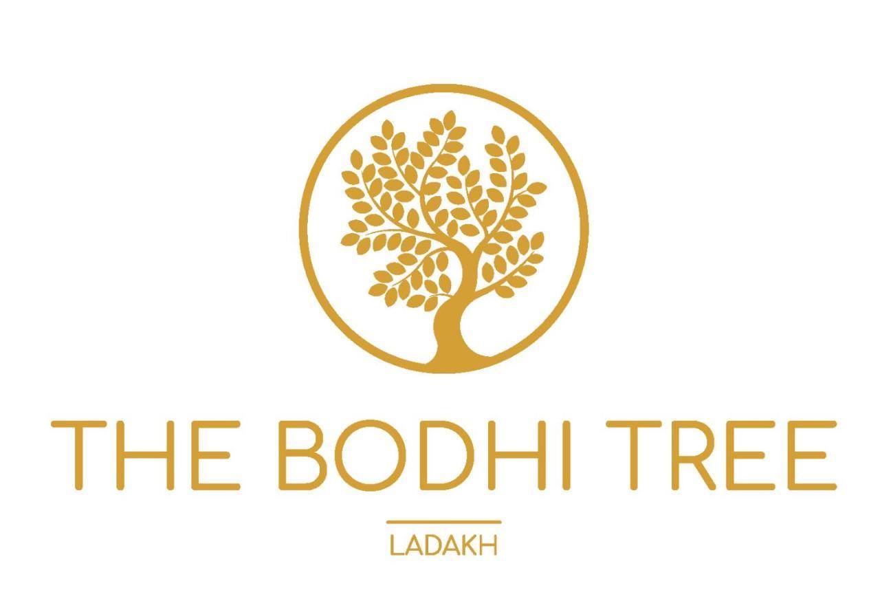 Hotel The Bodhi Tree Leh Zewnętrze zdjęcie